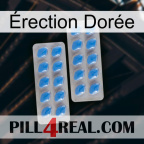 Érection Dorée 23